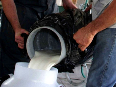 Desvalorização do preço do leite preocupa produtores gaúchos