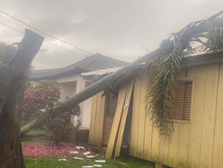 Chuva atinge 18 famílias, alaga escolas e derruba árvores em Cachoeira do Sul