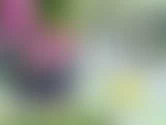 Asilo Medianeira inaugura novo pórtico de acesso em Cachoeira do Sul