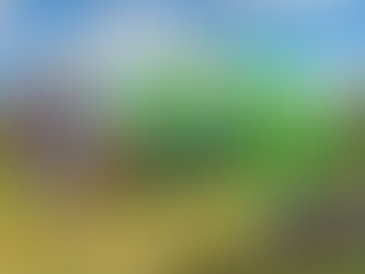 5ª edição do Coração do Bairro será no Centro no dia 16 de novembro em Cachoeira