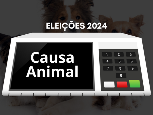 Confira as propostas dos seis candidatos a prefeito de Cachoeira sobre a Causa Animal