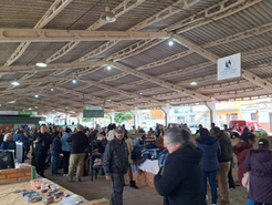 Feira da Assoarte reúne gastronomia, artesanato e atrações para toda a família neste domingo