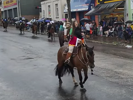 Desfile do Dia do Gaúcho terá cerca de mil cavalos em Cachoeira do Sul