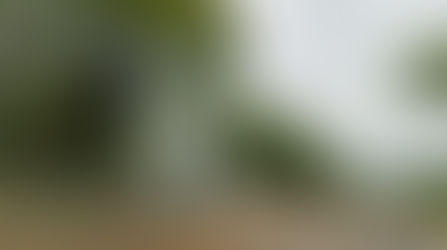 32ª Romaria terá bloqueios no trânsito e mudanças no acesso ao parque neste domingo em Cachoeira do Sul