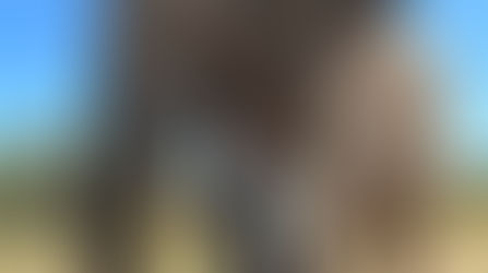 Cientista de Cachoeira do Sul conquista prêmio internacional e vira símbolo de orgulho para a cidade