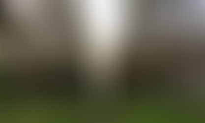 Cachoeira do Sul sedia o 2º Enapecan com foco em inovação na pecanicultura nesta quinta e sexta