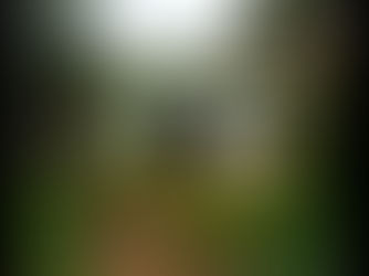 Moradores do Bairro Otaviano denunciam abandono de imóvel e pedem providências