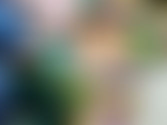 Preço médio dos alimentos recua no RS em 2025 e Cachoeira do Sul registra a cesta mais barata do Estado