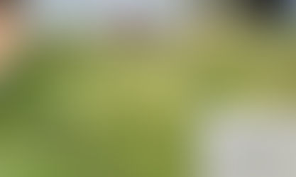 Moradora denuncia aumento de mosquitos e cobra limpeza de terrenos no bairro Tupinambá