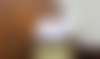 Alvaro Santos Borges assume cadeira de Ana Luisa do Piquiri na Câmara