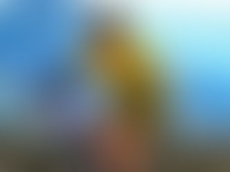 Bike Tour da Ciclo Bikes terá edição especial em homenagem ao Mês da Mulher neste sábado