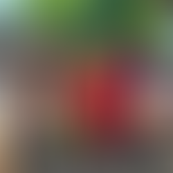 Banco Vermelho é inaugurado na Praça José Bonifácio