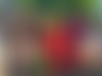 Banco Vermelho é inaugurado na Praça José Bonifácio