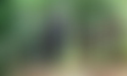 Etapa final da Copa de MTB reúne 50 atletas de 15 municípios no XCM do Paredão, em Cachoeira do Sul