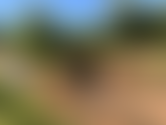 Começa o desassoreamento do Arroio Amorim através do Desassorear RS