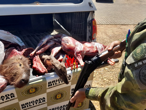 Pelotão do Batalhão Ambiental prende homem por posse irregular de arma de fogo e caça ilegal