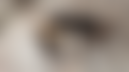 Polícia Civil resgata filho de gato vítima de maus tratos em residência no Centro