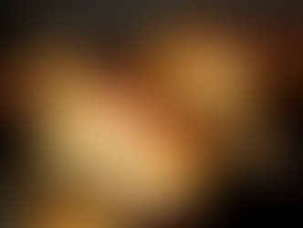 Rotary promove galeto solidário e bingo em benefício da Afad neste domingo