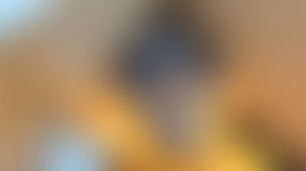 Filhote de bugio é resgatado após morte da mãe e recebe cuidados em Cachoeira do Sul