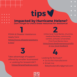 Tips Feeding Help Disaster Relief Formula Feeding Infant Nutrition Baby Food and Fun Motherhood Registered Dietitian