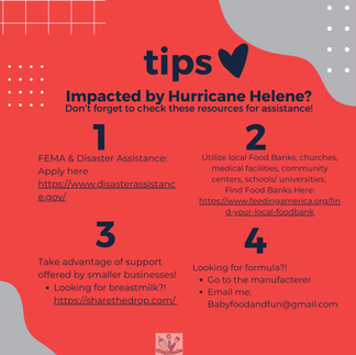 Port Closure and Strike Information Instagram Post Baby Food and Fun Registered Dietitian Supply Chain Food Safety and Security Hurricane Helene Disaster Relief Support