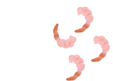 CFCShrimp.png