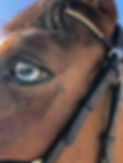 IMG_7275.jpeg