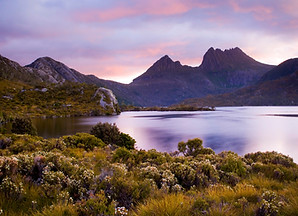 tasmania.jpg