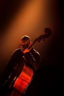 RhinoJazz Festival 2015