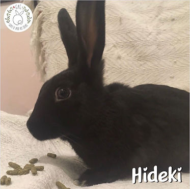 Hideki
