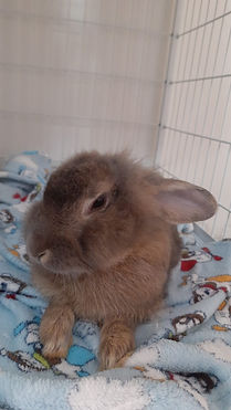 Álvaro