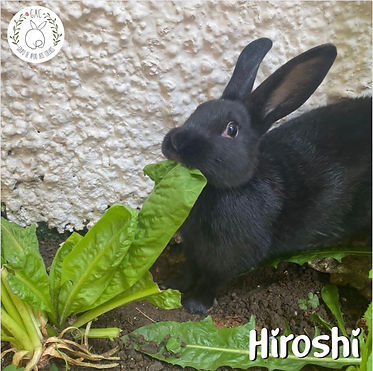 Hiroshi