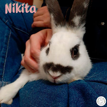 Nikita