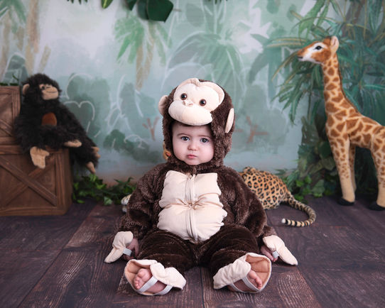 Baby monkey photoshoot
