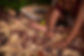 cakesmashphotography8.jpg