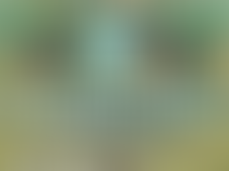 2月6日(日)西部新人大会兼関東予選 7位決定戦 VS川越南 試合情報