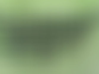 3月14日(日)VS川越初雁高校 令和2年度 西部支部新人大会 1回戦 試合情報