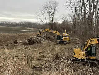 Chemin d'accès et défrichement