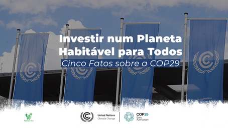 Mudanças Climáticas: Cinco Fatos sobre a COP29