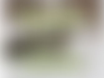 Вÿд модмо кече дене саламлена! -С Днем живой воды!