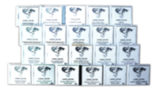 When Kenpo Strikes - Complete Set