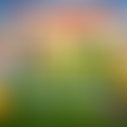 Graphic showing two smiling school students with books, a map of Gujarat in Indian flag colors, and bold text announcing “₹354 Crore Scholarships to School Students in Gujarat,” with school building, graduation caps, and gold coins in the background.