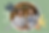 Green.png