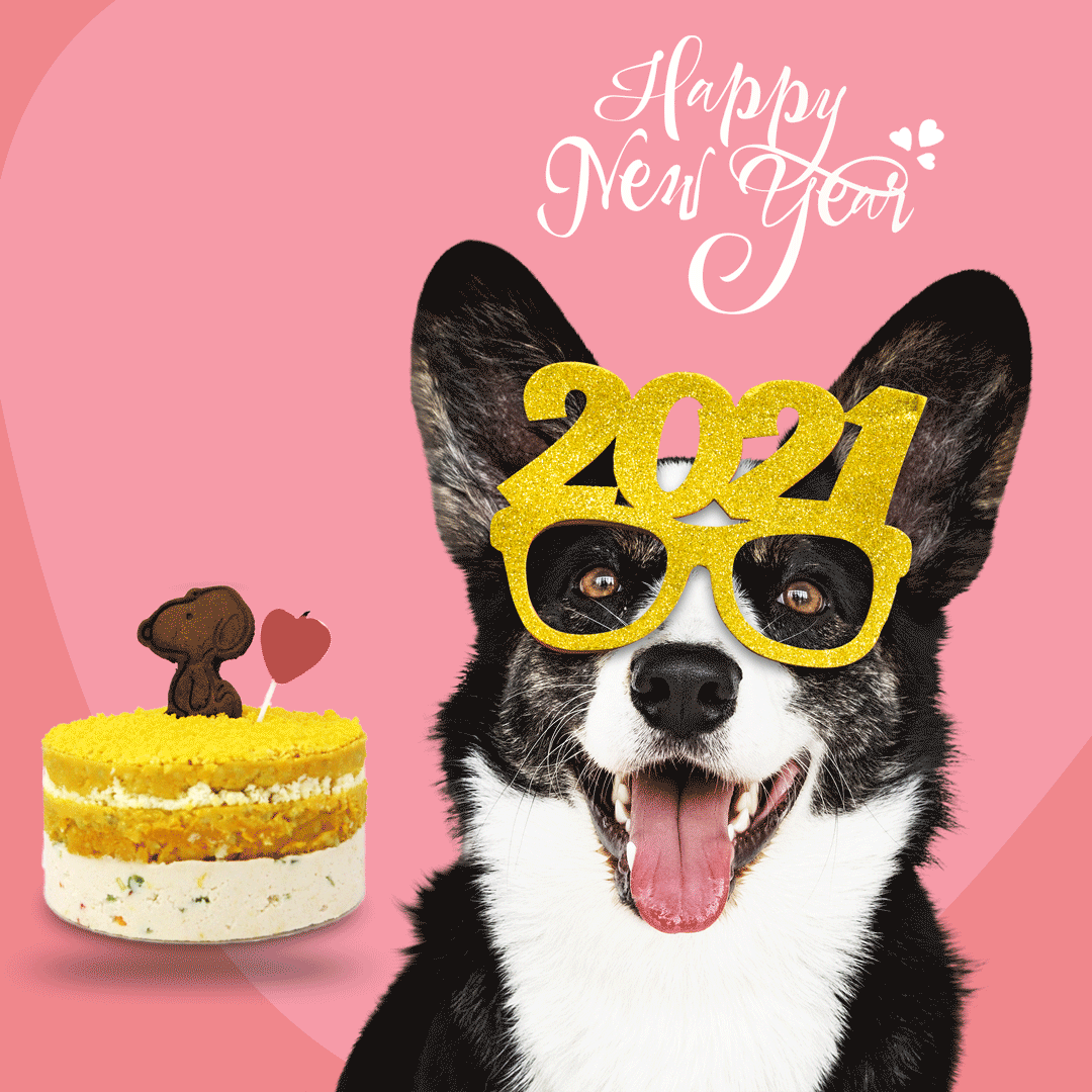21_Dec_2020_DOR_NEW-YEAR-GIF.gif