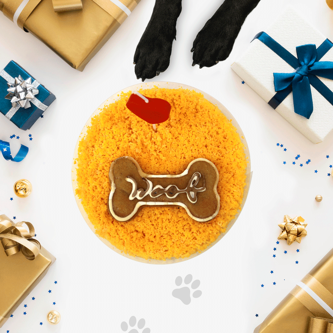 21_Dec_2020_DOR_Christmas_Web-GIF.gif