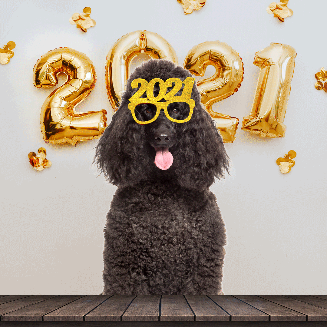 21_Dec_2020_DOR_NEW-YEAR-1-GIF.gif
