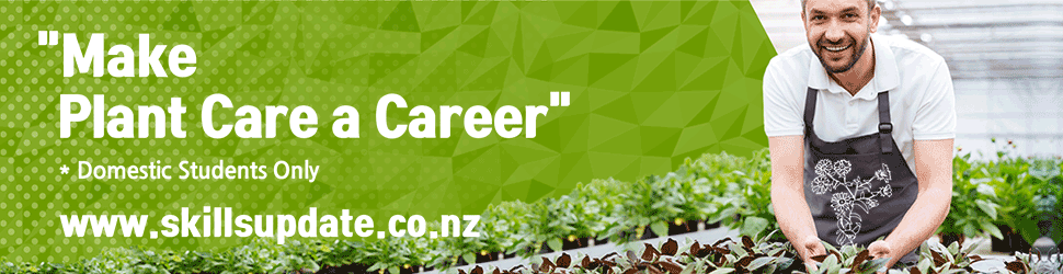 970-x-250_E_New-Zealand-Certificate-in-H