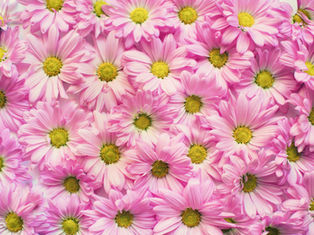 Thermography: A Proactive Approach to Breast Health