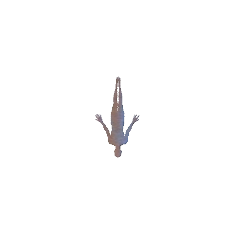 floating.gif