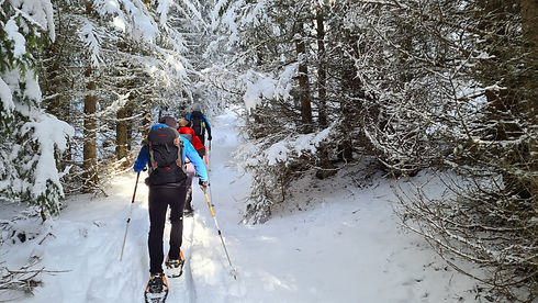 20201212_101558.jpg